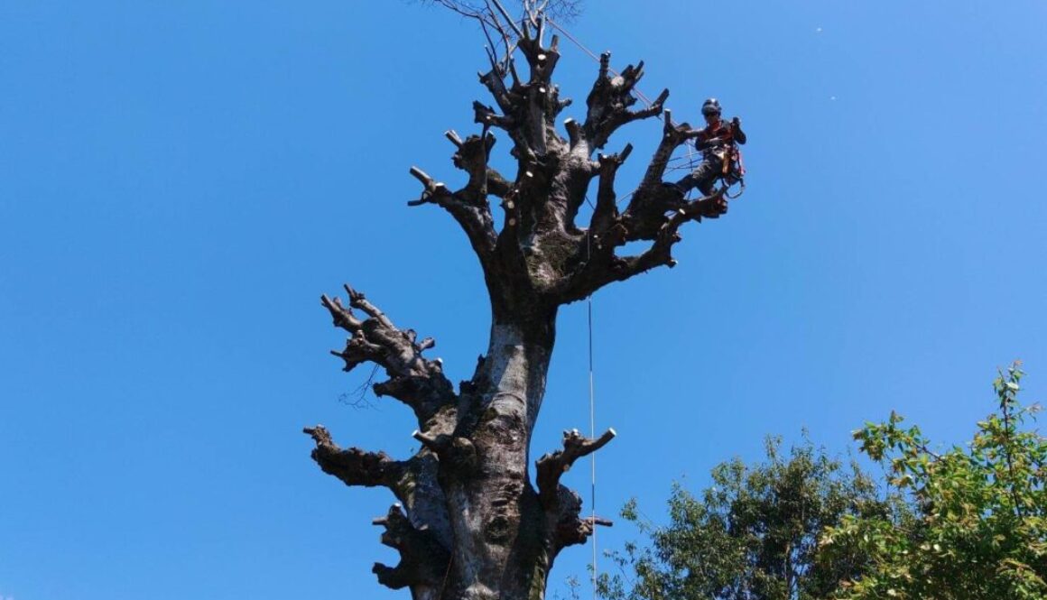LINE_ALBUM_中原実業　山鹿市山鹿_230416_13